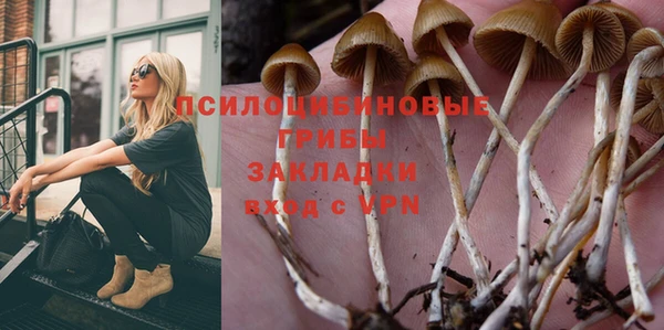 apvp Абаза