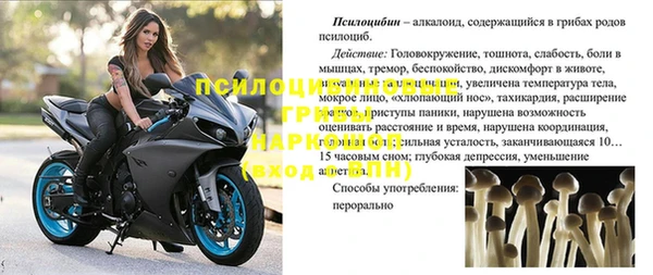 apvp Абаза