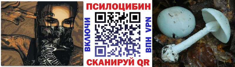 цены наркотик  гидра ссылка  Галлюциногенные грибы ЛСД  Тбилисская 