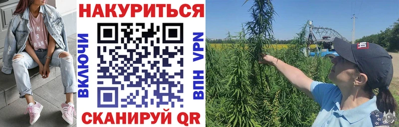 где купить наркотик Тбилисская Бошки Шишки план